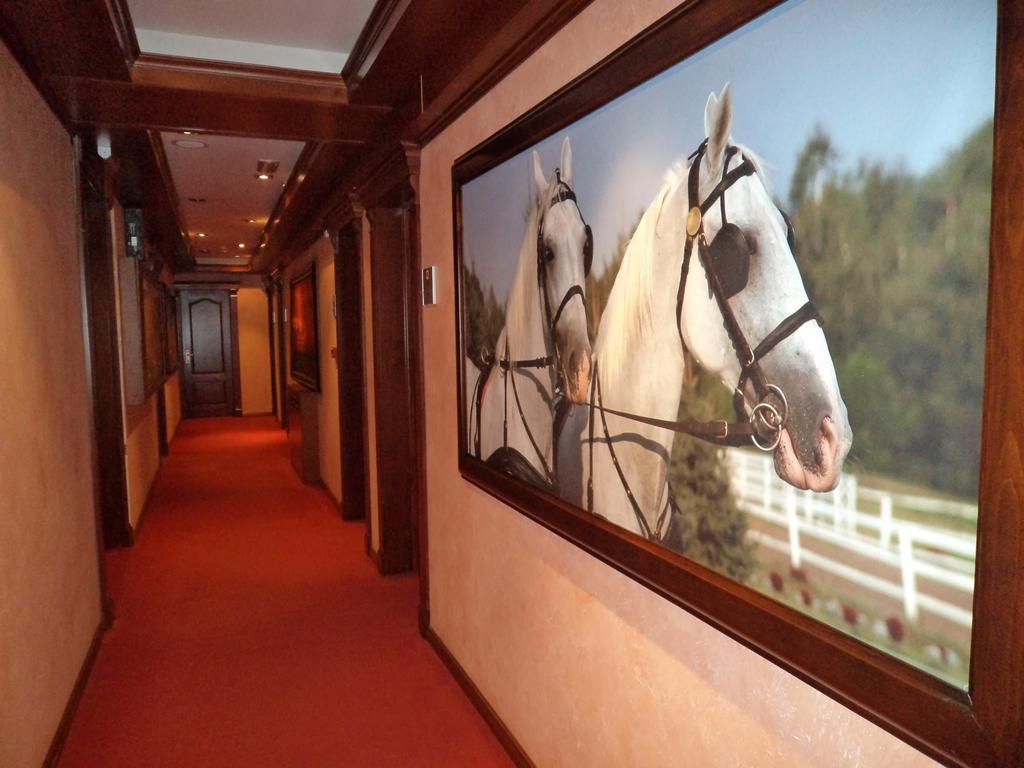 Panorama City Inn スレムスキ・カルロヴツィ エクステリア 写真