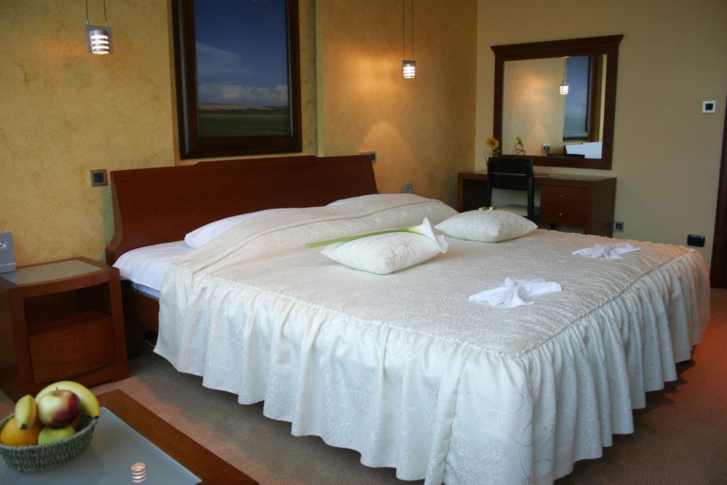 Panorama City Inn スレムスキ・カルロヴツィ エクステリア 写真